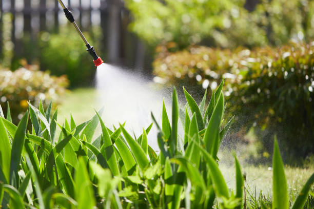 24/7 Emergency Mosquito Control experts in Kirbyville, TX