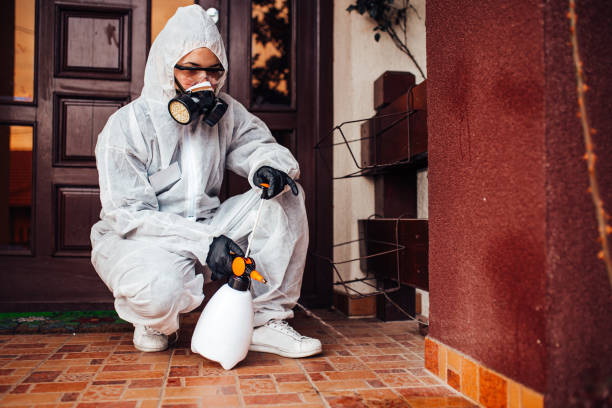 Reliable Mosquito Control contractor in Kirbyville, TX by Show Me Pest Control